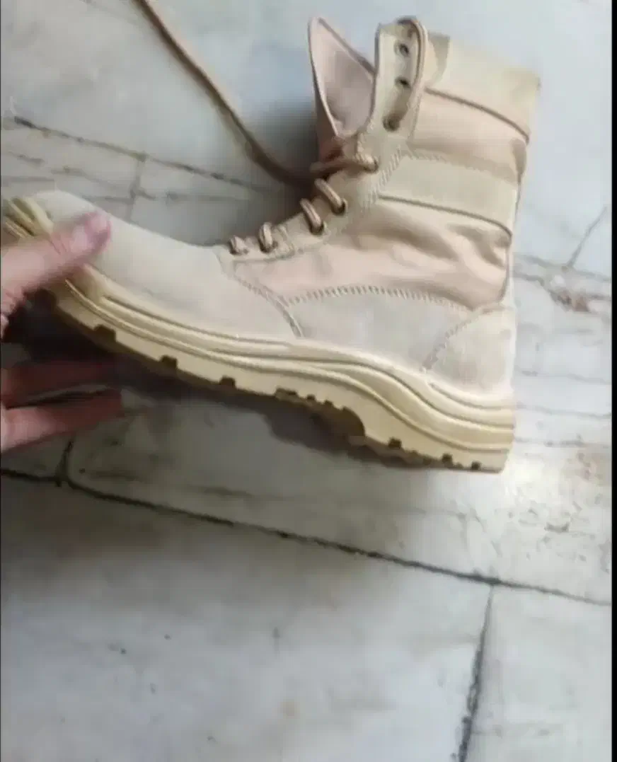 کفش و پوتین|کیف، کفش، کمربند|اهر, |دیوار