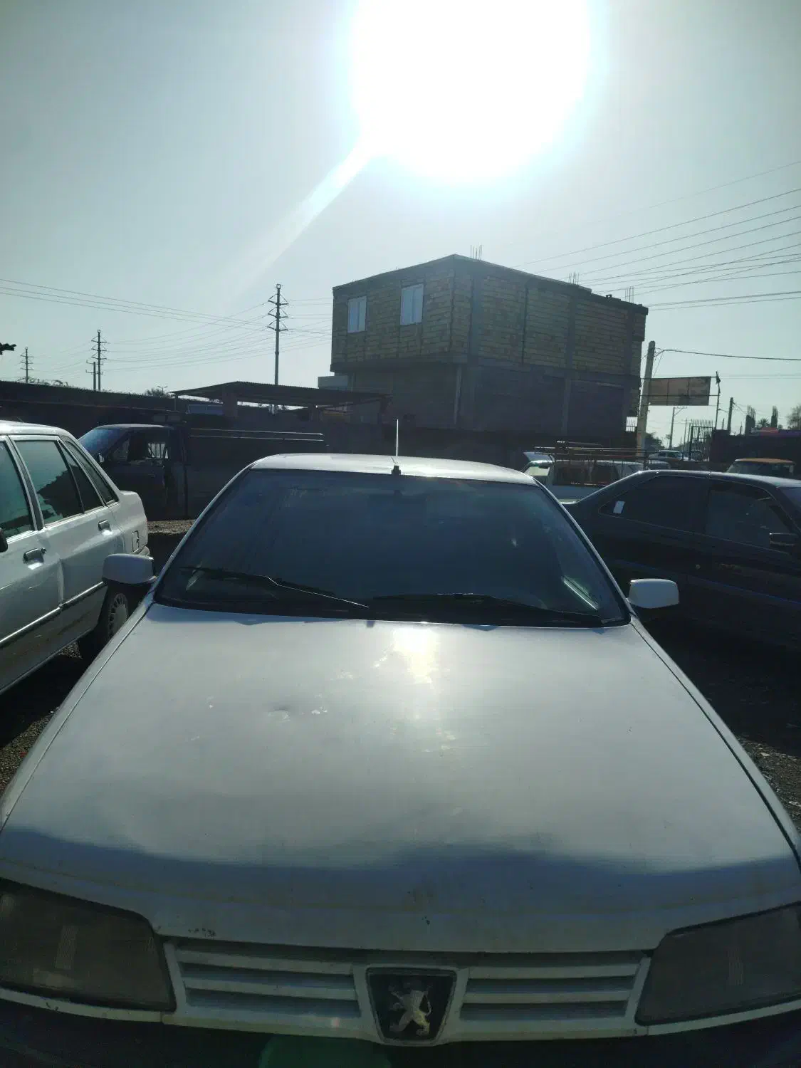 پژو اردی مدل 82|خودرو سواری و وانت|میناب, |دیوار