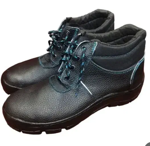 کفش کار سهند***|کیف، کفش، کمربند|کرمان, |دیوار