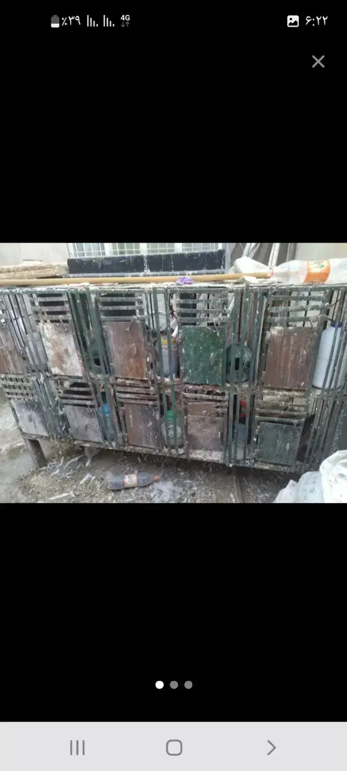 دوتا جفتگاه یکی چوبی ۹تایی یکی آهنی ۱۰تایی رفسنجان|لوازم جانبی حیوانات|رفسنجان, |دیوار