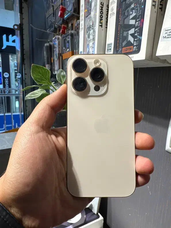 16 Pro 256 دوسیم/با ریجستر|موبایل|مشهد, احمدآباد|دیوار