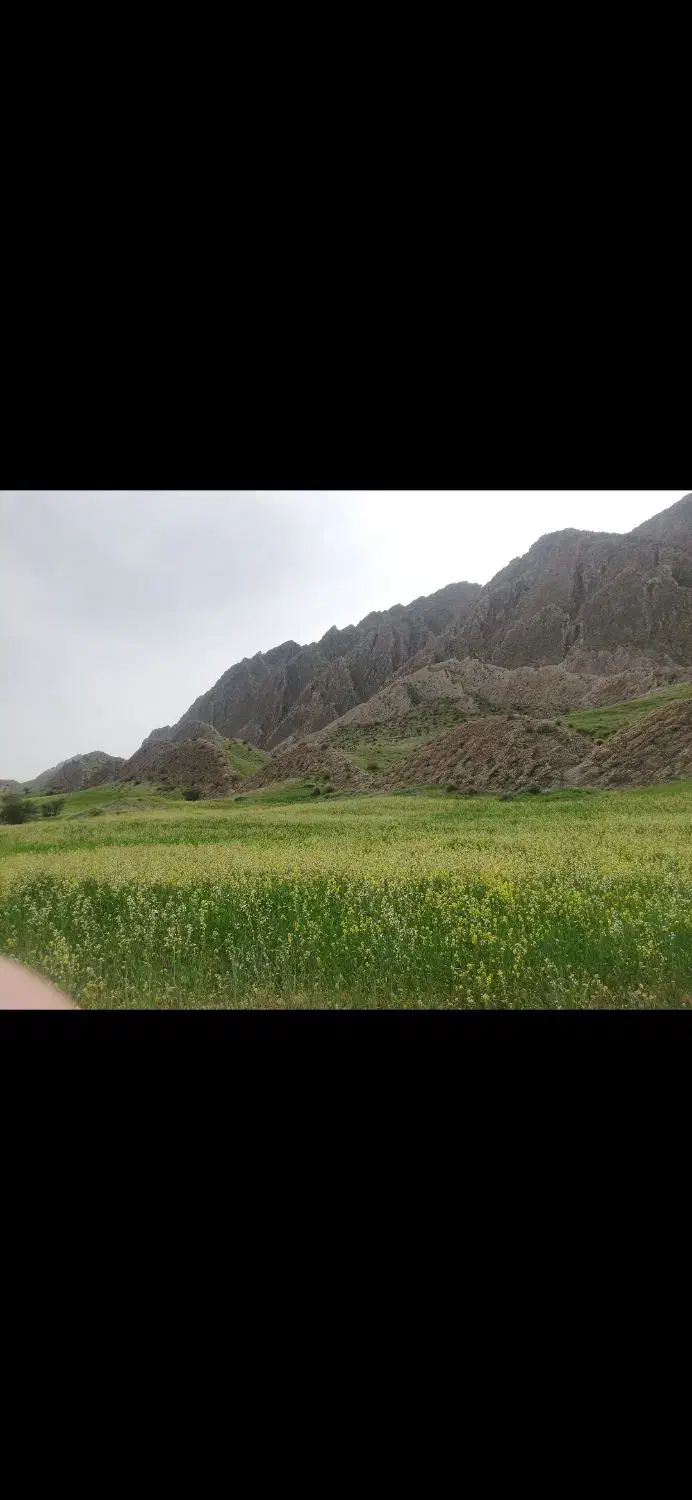 فروش خونه باغ درقلب بخش ارم|فروش خانه و ویلا|ارم, |دیوار