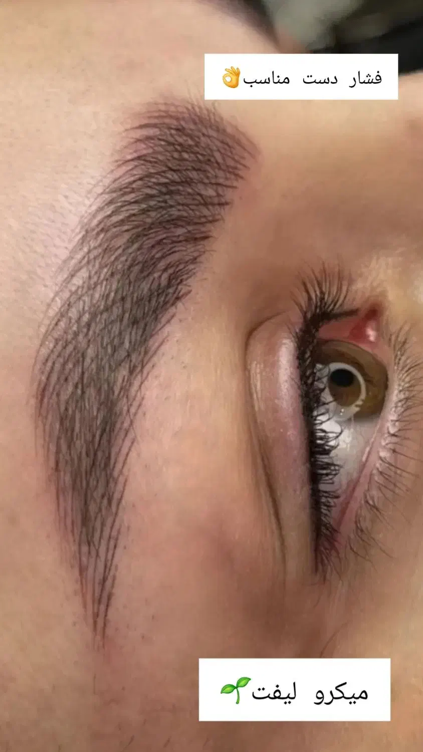 خدمات آرایش دائم|خدمات آرایشگری و زیبایی|جیرفت, |دیوار