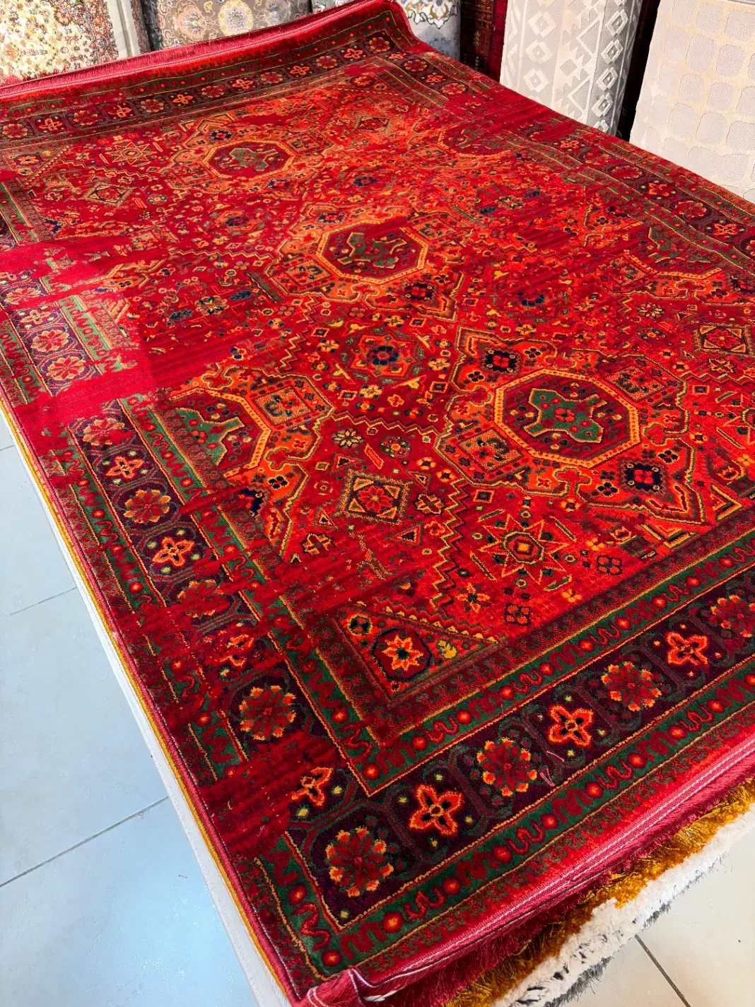 فرش قاجار(فرش آوین)لاکی|فرش|تبریز, |دیوار