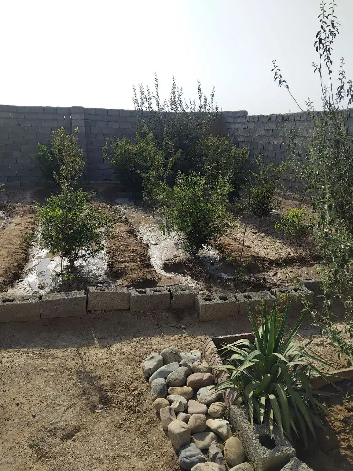 باغچه ۳۰۰متری|فروش خانه و ویلا|ماهدشت, |دیوار