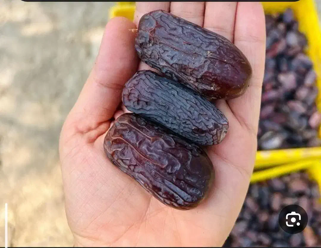 خرمای مجهول اصل با ارسال سراسری|خوردنی و آشامیدنی|حاجی آباد, |دیوار