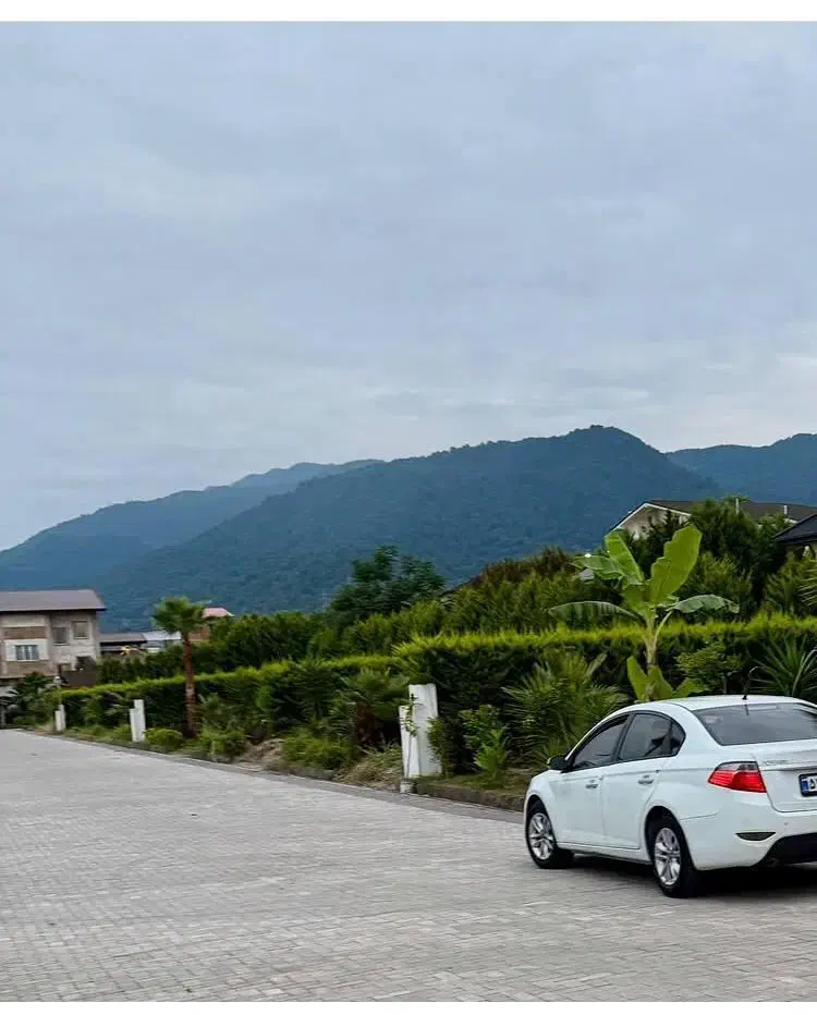 شهرک تاپ لول،چسب جنگل ،ازین بهتر نداریم|فروش زمین و ملک کلنگی|چمستان, |دیوار