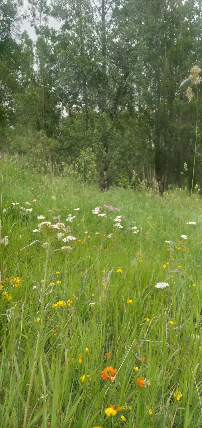 معاوضه خودروسنگین کامیونت خاور کاویان|خودرو سنگین|تبریز, |دیوار