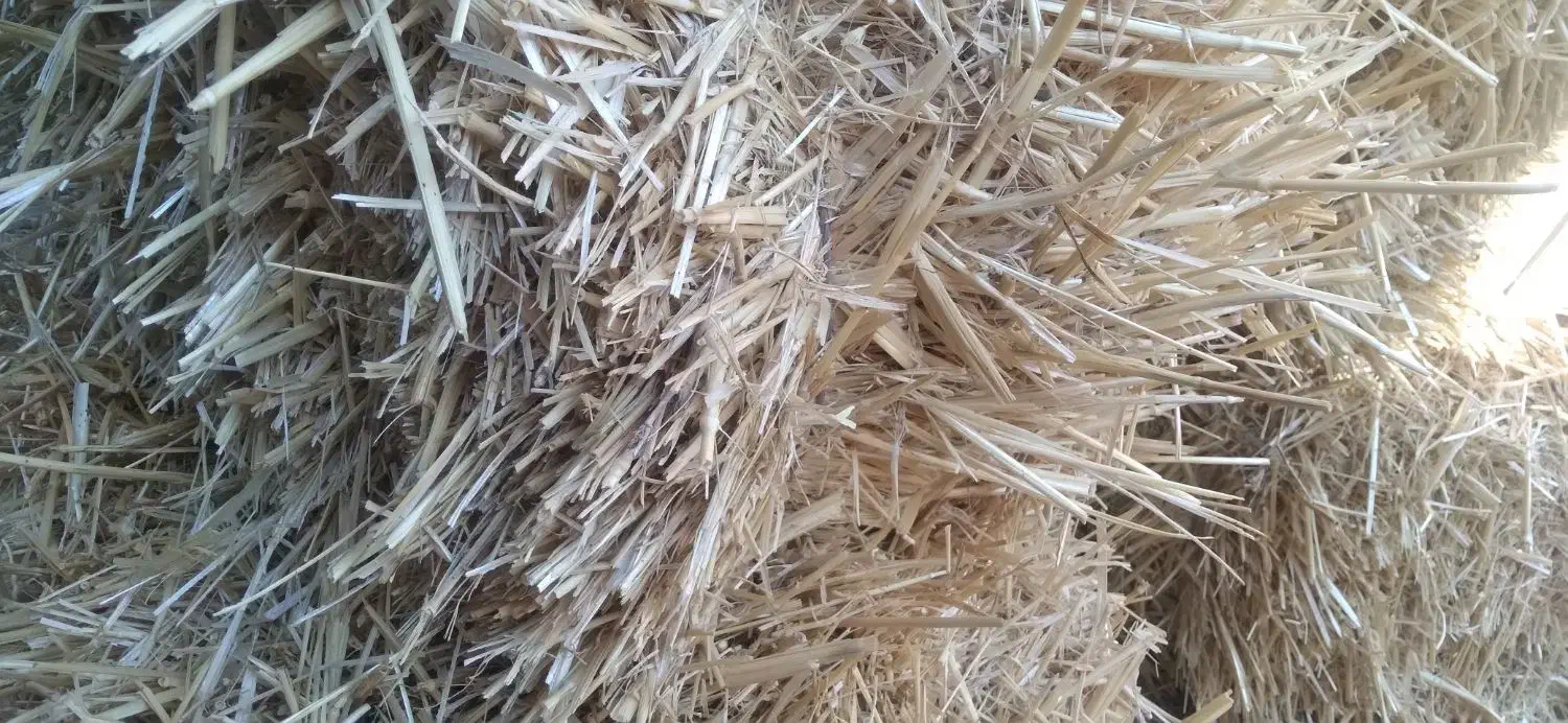 ۱۷۰عددپرس گندم.۱۲۰ تومن.خودم خریده بودم.تغییر شغل|لوازم جانبی حیوانات|مهربان, |دیوار