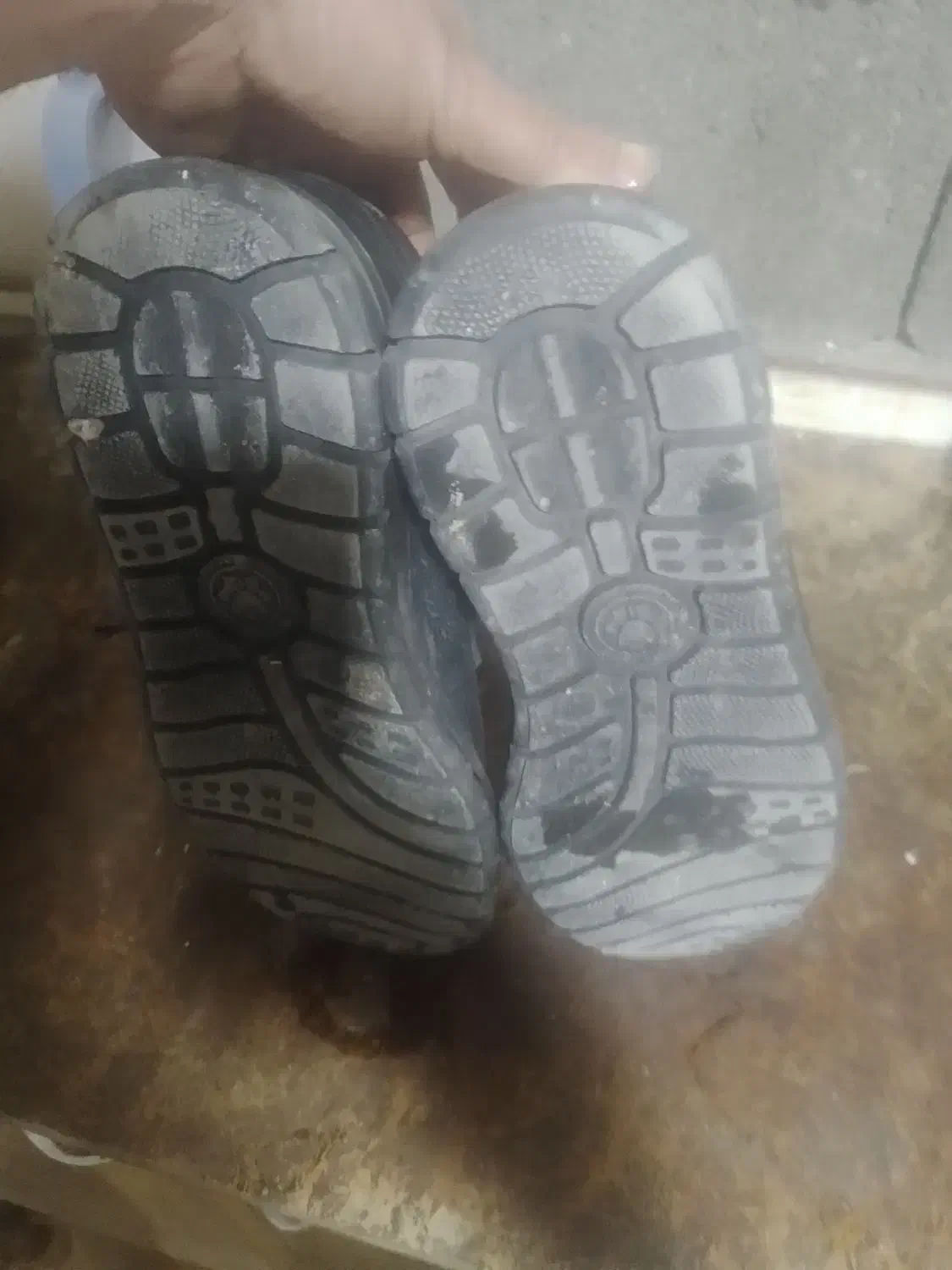 کفش|کیف، کفش، کمربند|یاسوج, |دیوار