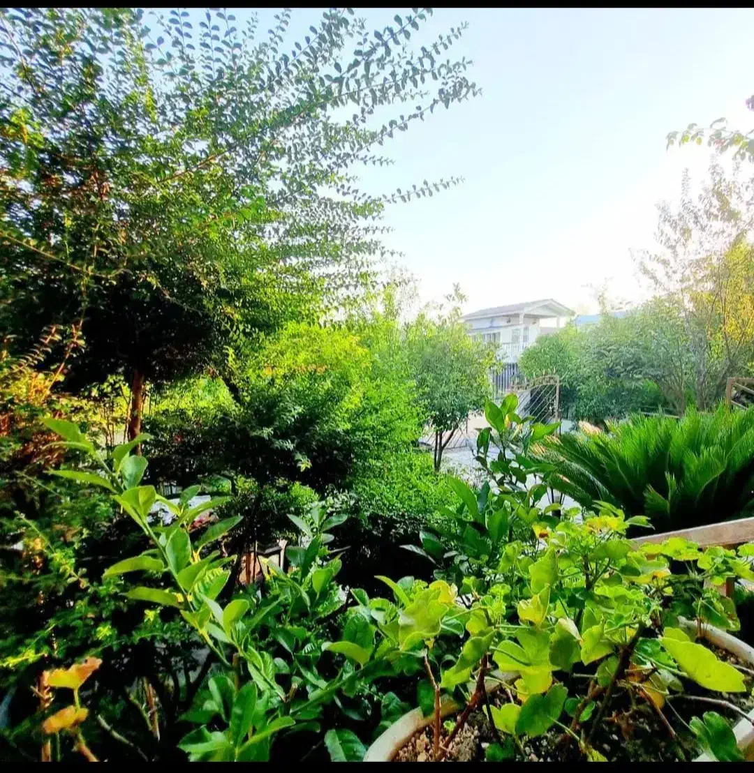 باغچه نیم پیلوت 330متر، پلاک2 جنگل* مبله سند|فروش خانه و ویلا|شیرگاه, |دیوار