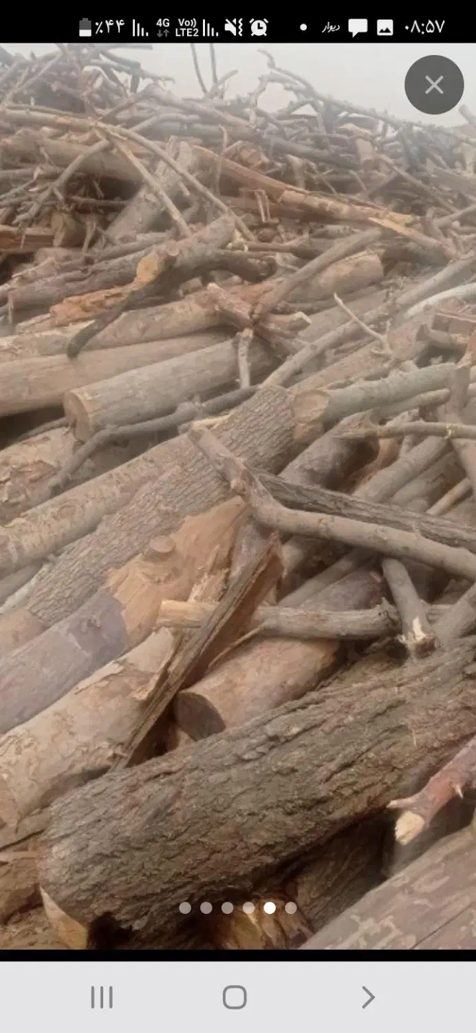 قطع چوب حمل چ خرید چوب|خدمات باغبانی و درختکاری|نیشابور, شهید بهشتی|دیوار