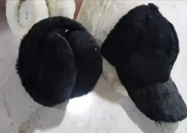 کلاه. گوشگیر.|لباس|مشهد, جانباز|دیوار