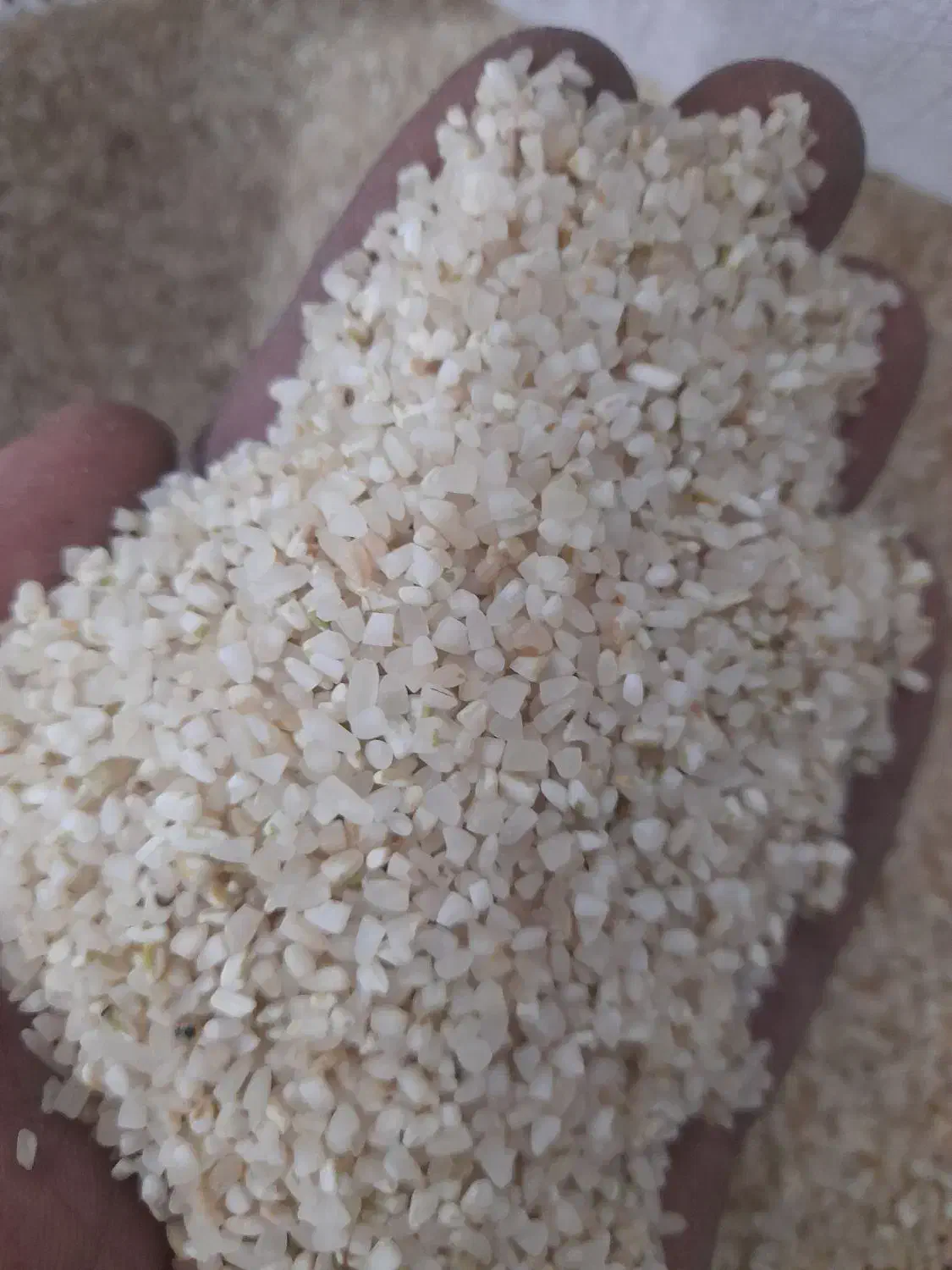 خورده برنج نیم دانه|خوردنی و آشامیدنی|شیراز, کوشک میدان|دیوار