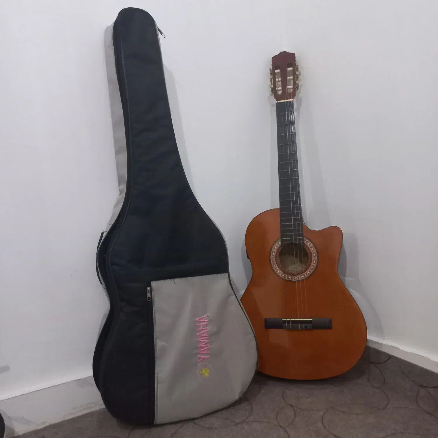 گیتار|گیتار، بیس، امپلیفایر|ارومیه, |دیوار