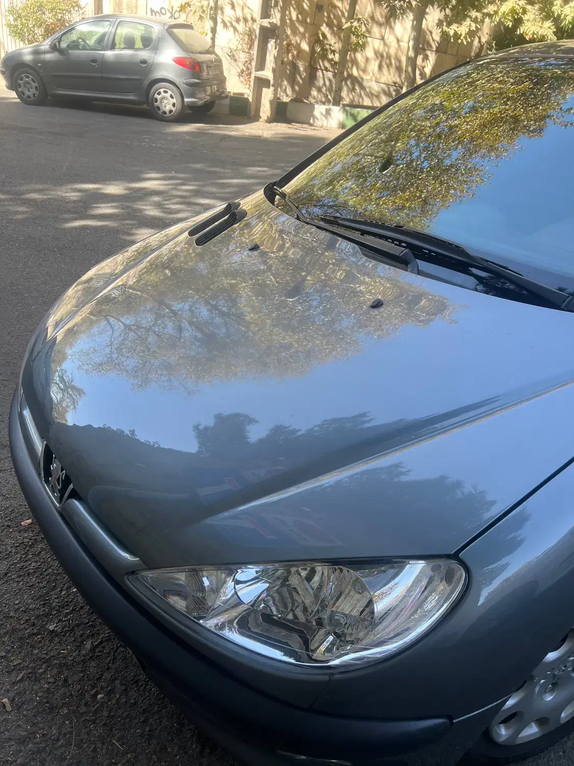 ۲۰۶ sd|خودرو سواری و وانت|تهران, مجیدیه|دیوار