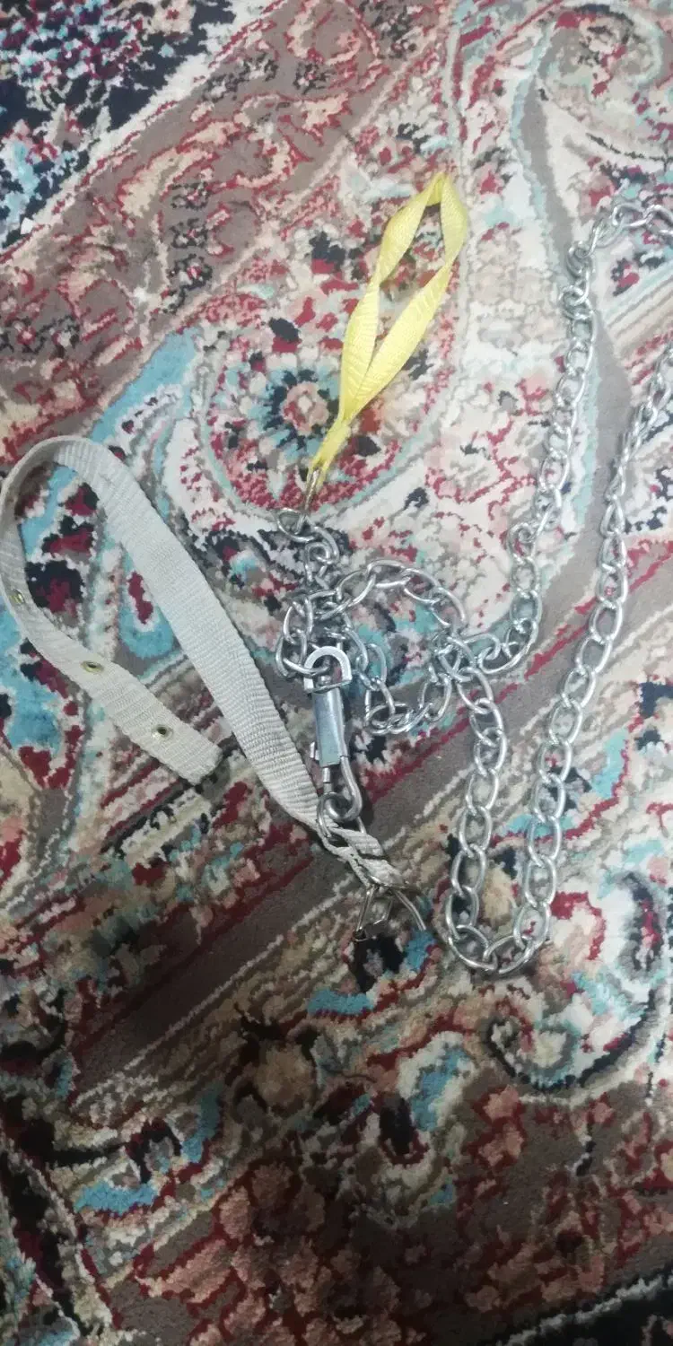 زنجیر سگ پاپه|لوازم جانبی حیوانات|تربت جام, یحیی آباد|دیوار