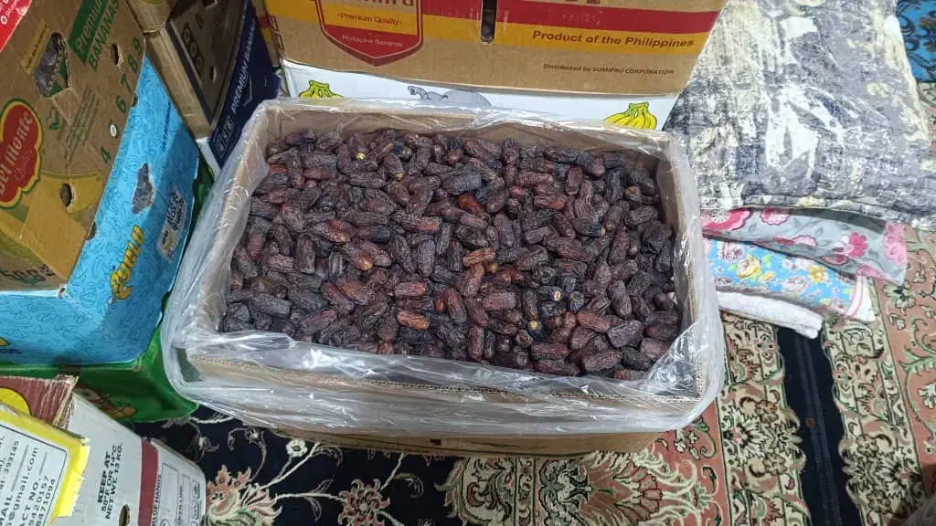 خرما نمونه و ارگانیک|حراج|حاجی آباد, |دیوار