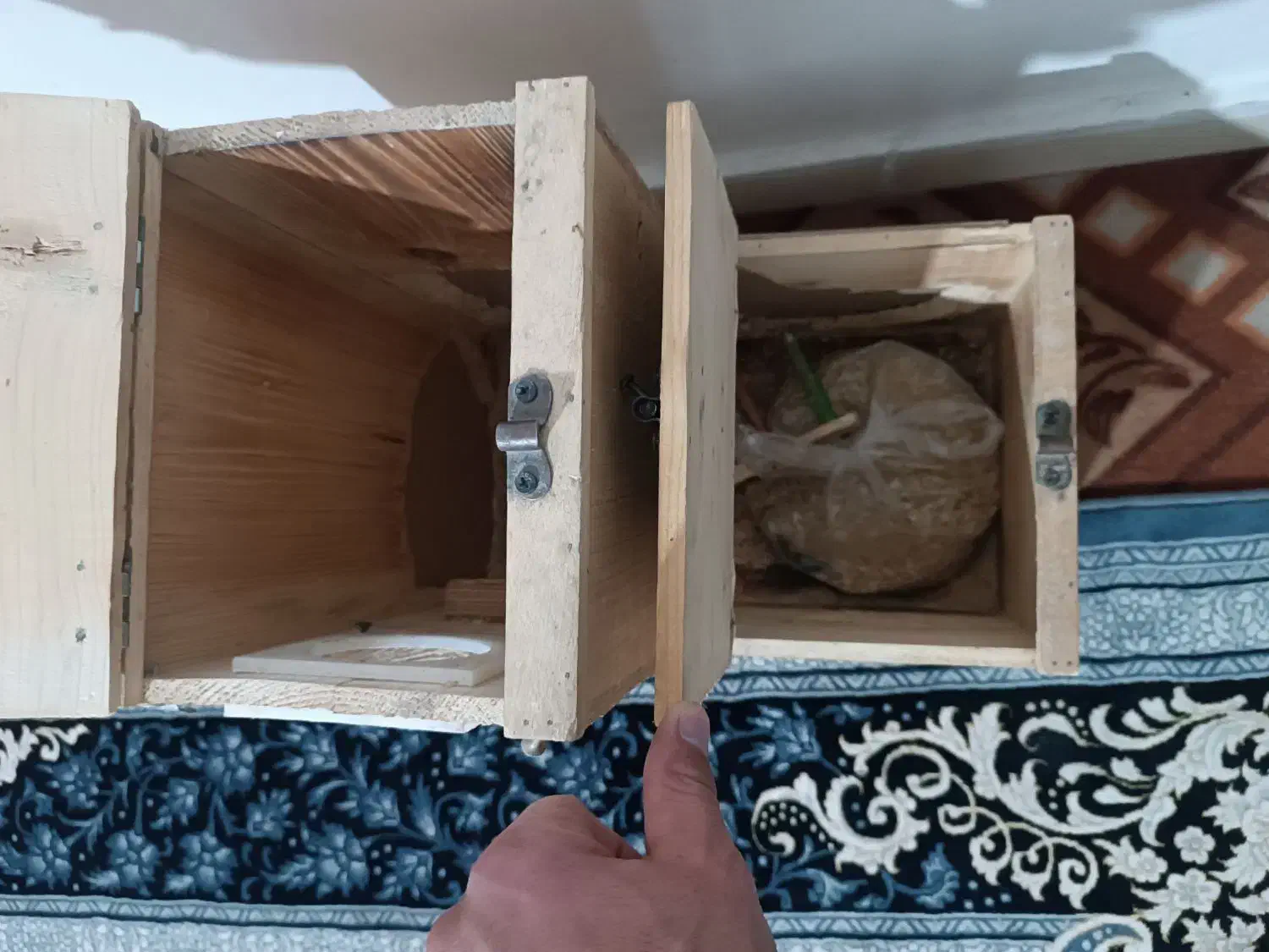 لانه ال شکل  طوطی ملنگو|لوازم جانبی حیوانات|بیرجند, |دیوار