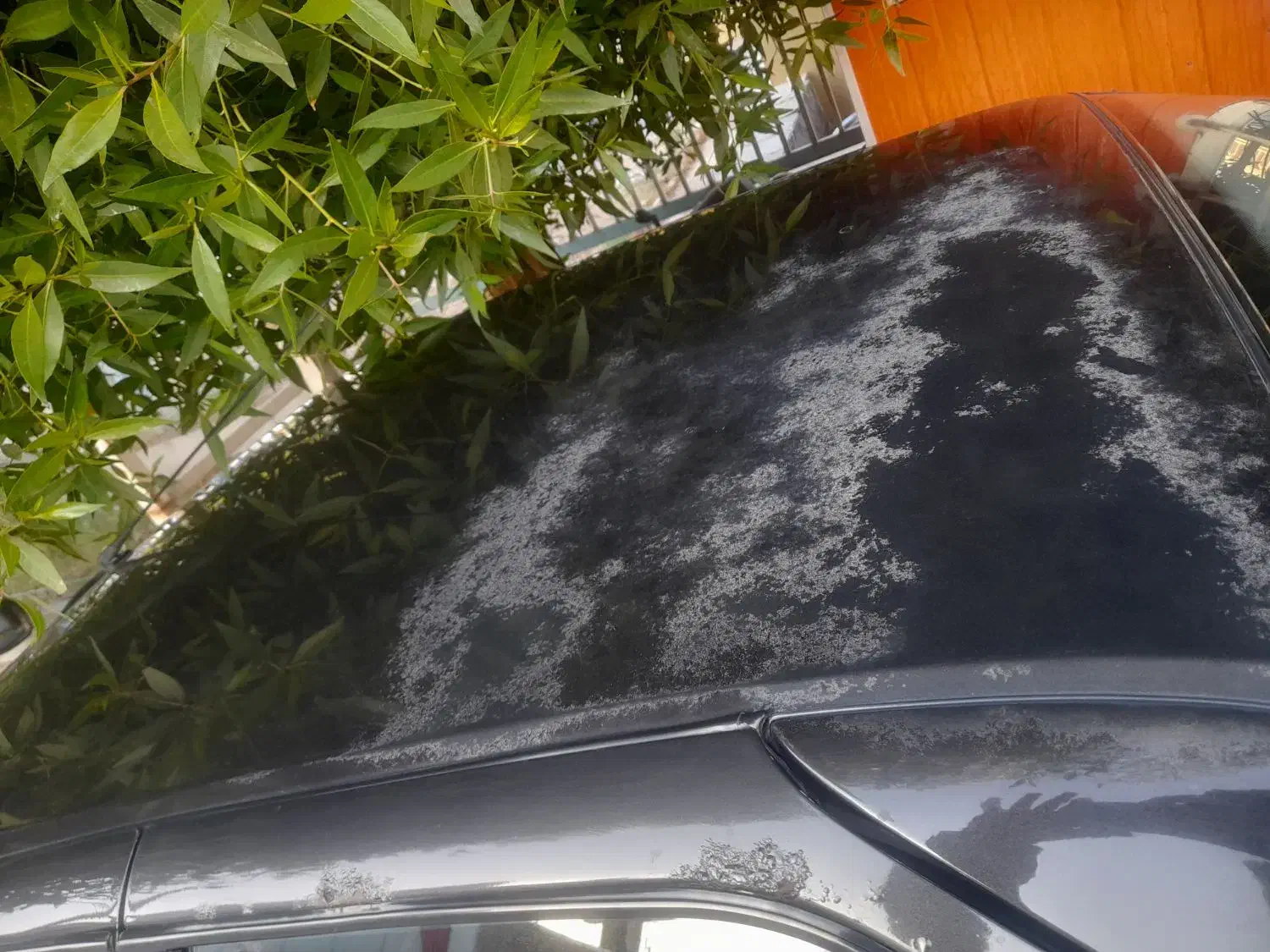 SLXمدل91 موتور معمولی|خودرو سواری و وانت|اهواز, کوی مهدیس|دیوار