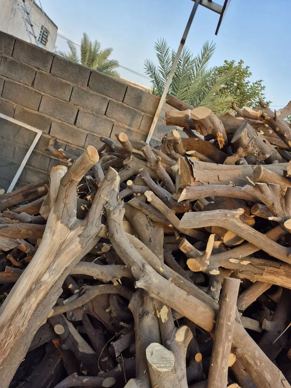 چوب مرکبات شما نقدا خریدارم|خدمات باغبانی و درختکاری|عنبرآباد, |دیوار