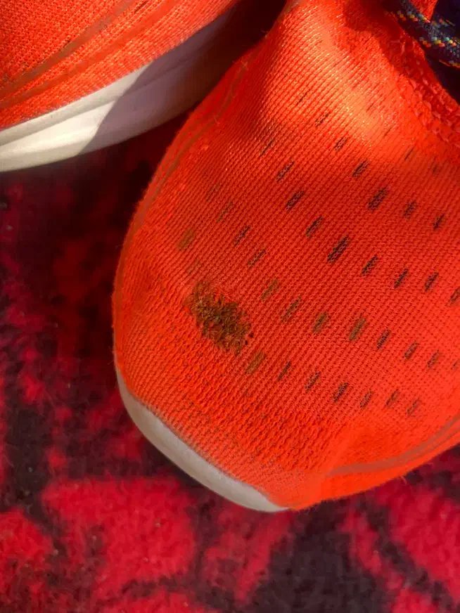 کفش ساکونی سایز 49 اصل نونو (یک دوخت کوچک )|کیف، کفش، کمربند|اصفهان, عباسآباد|دیوار