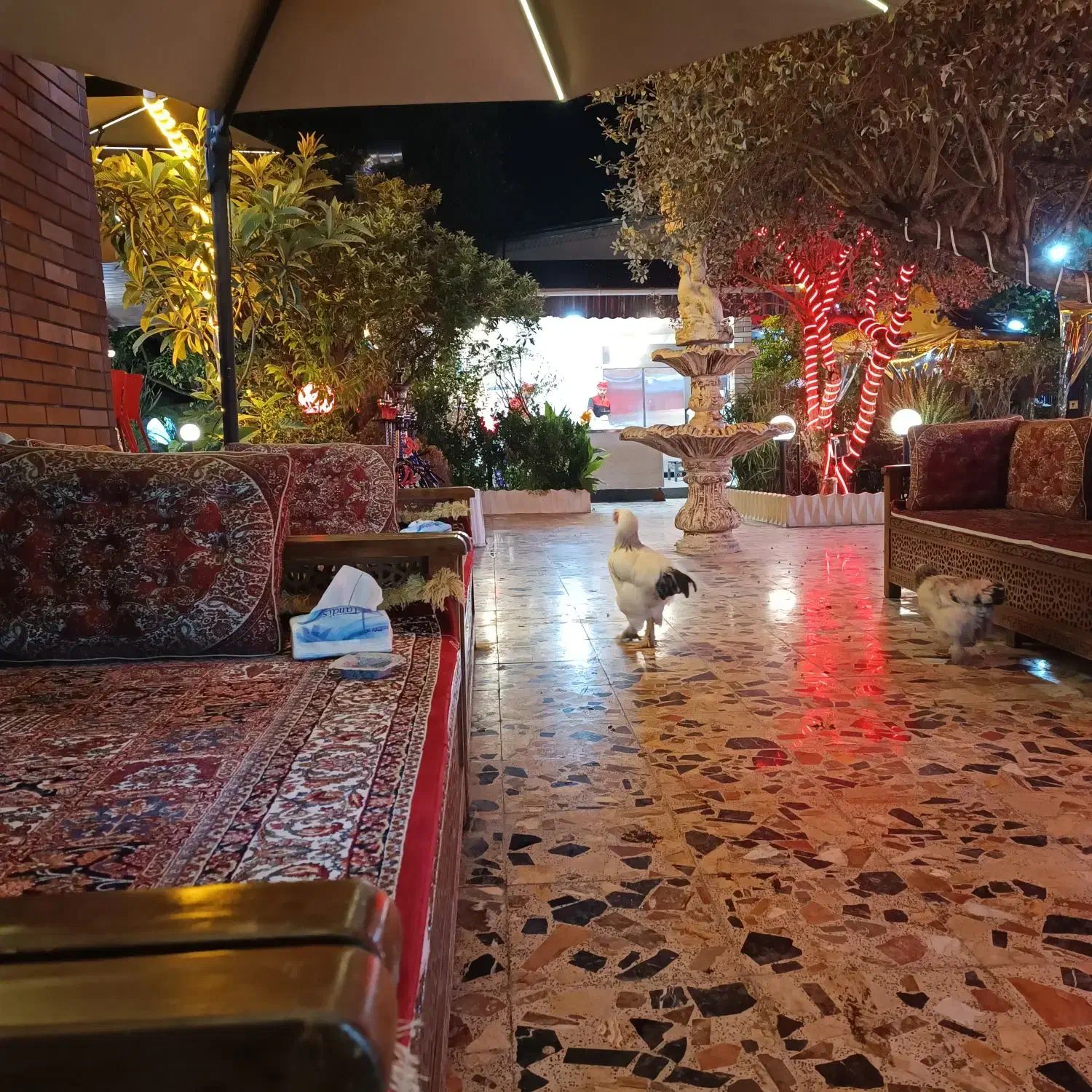 تخته کار مسلط به آشپزی در شهر رامسر|استخدام خدمات فروشگاه و رستوران|رشت, لاکان|دیوار