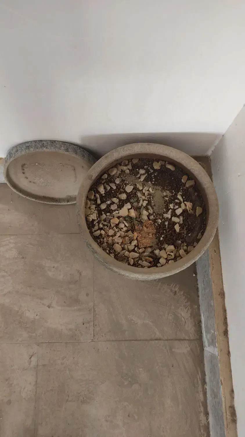 گلدان سفالی|گل و گیاه طبیعی|پردیس, فاز ۵|دیوار