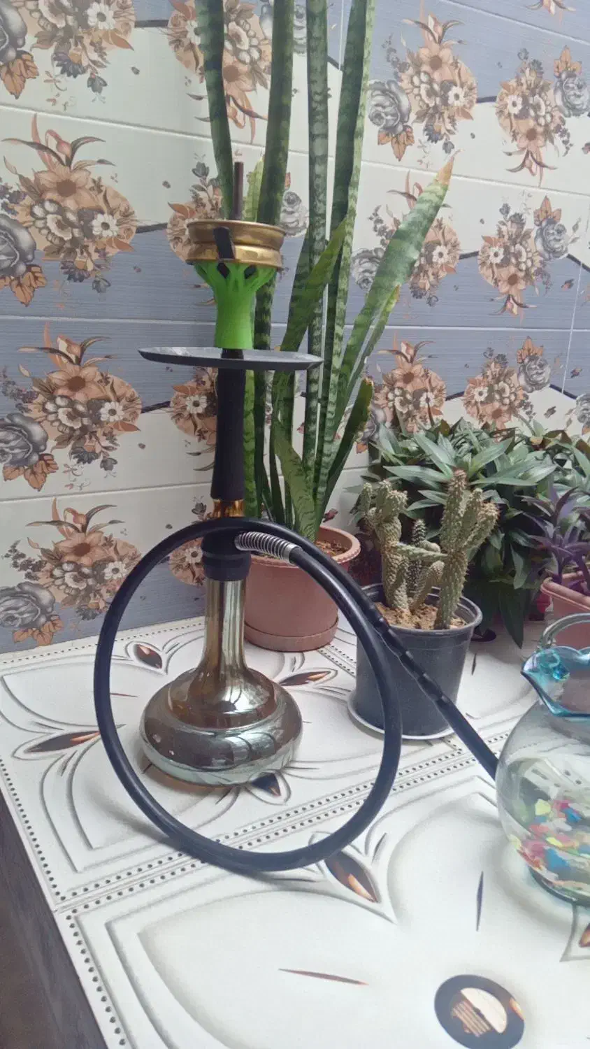 زیبا|کافی‌شاپ و رستوران|شیروان (خراسان), |دیوار