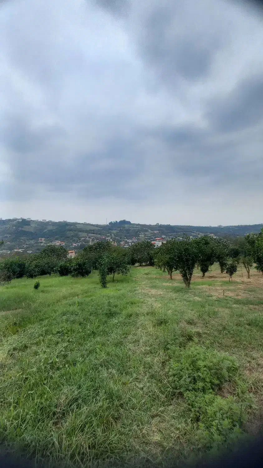 زمین باغی با ویو عالی|فروش دفتر صنعتی، کشاورزی، تجاری|قائمشهر, |دیوار