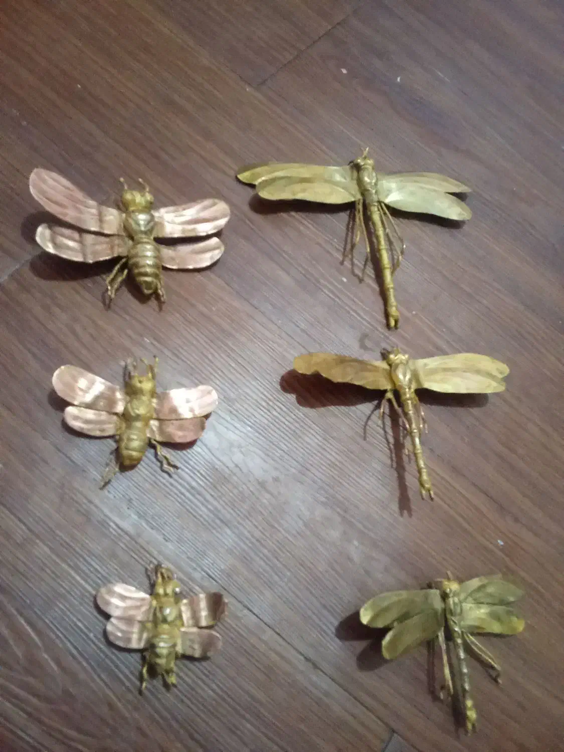 سنجاقک برنج|مجسمه، تندیس، ماکت|بروجرد, |دیوار