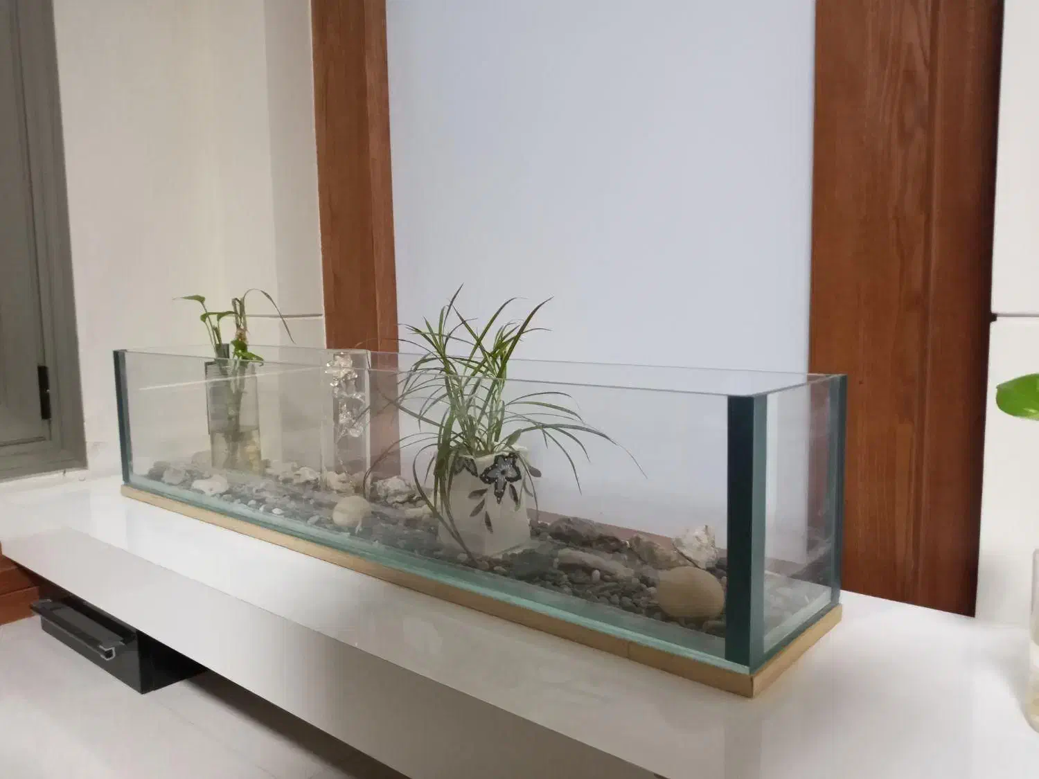 آکواریوم|ماهیگیری|مشهد, فلسطین|دیوار