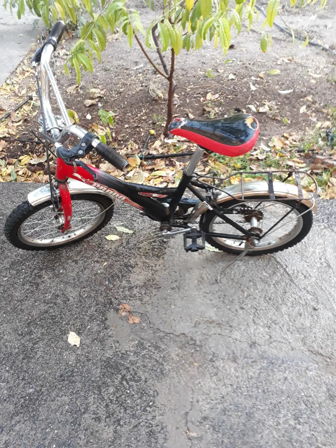 فروش دوچرخه ۱۶|دوچرخه، اسکیت، اسکوتر|ابهر, |دیوار