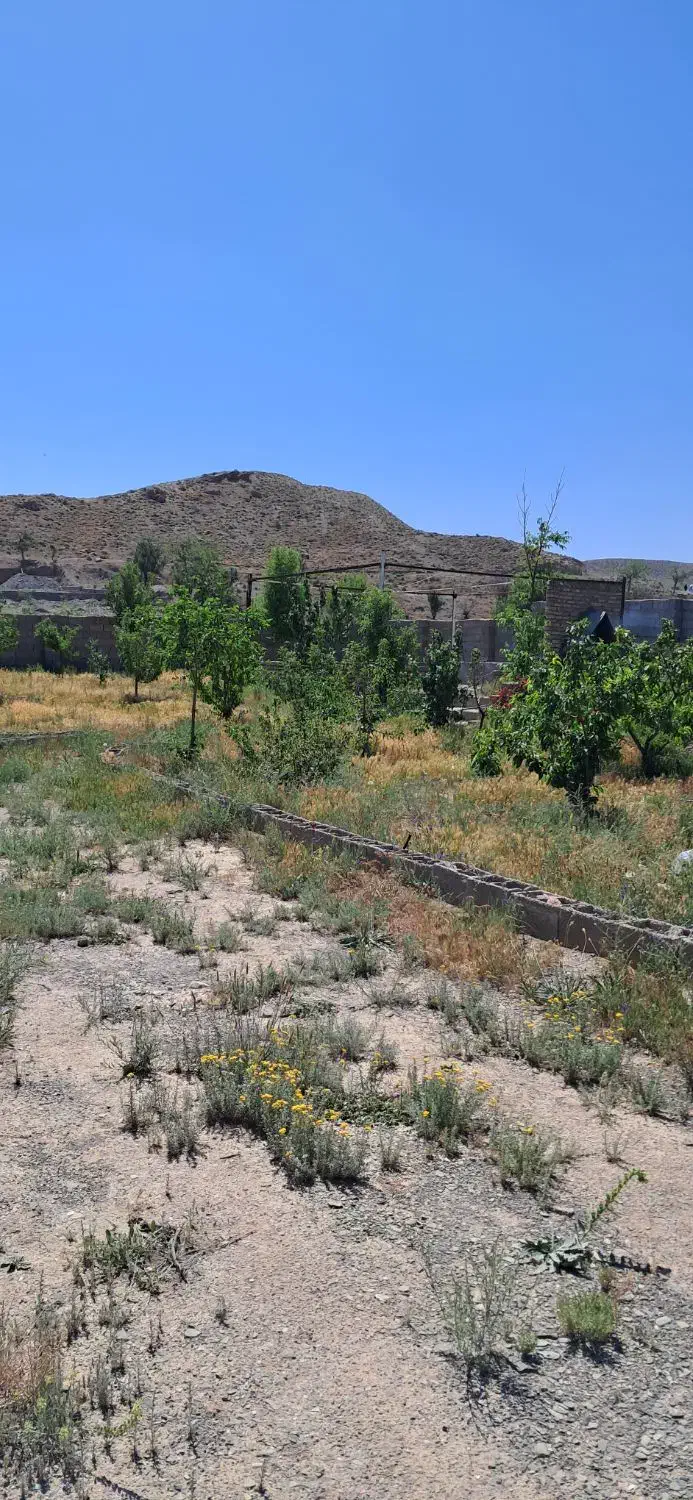 باغ گلمکان|فروش زمین و ملک کلنگی|گلمکان, |دیوار