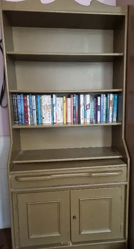 کتابخانه|کتابخانه، شلف، قفسه‌های دیواری|شیراز, احمدی جنوبی|دیوار
