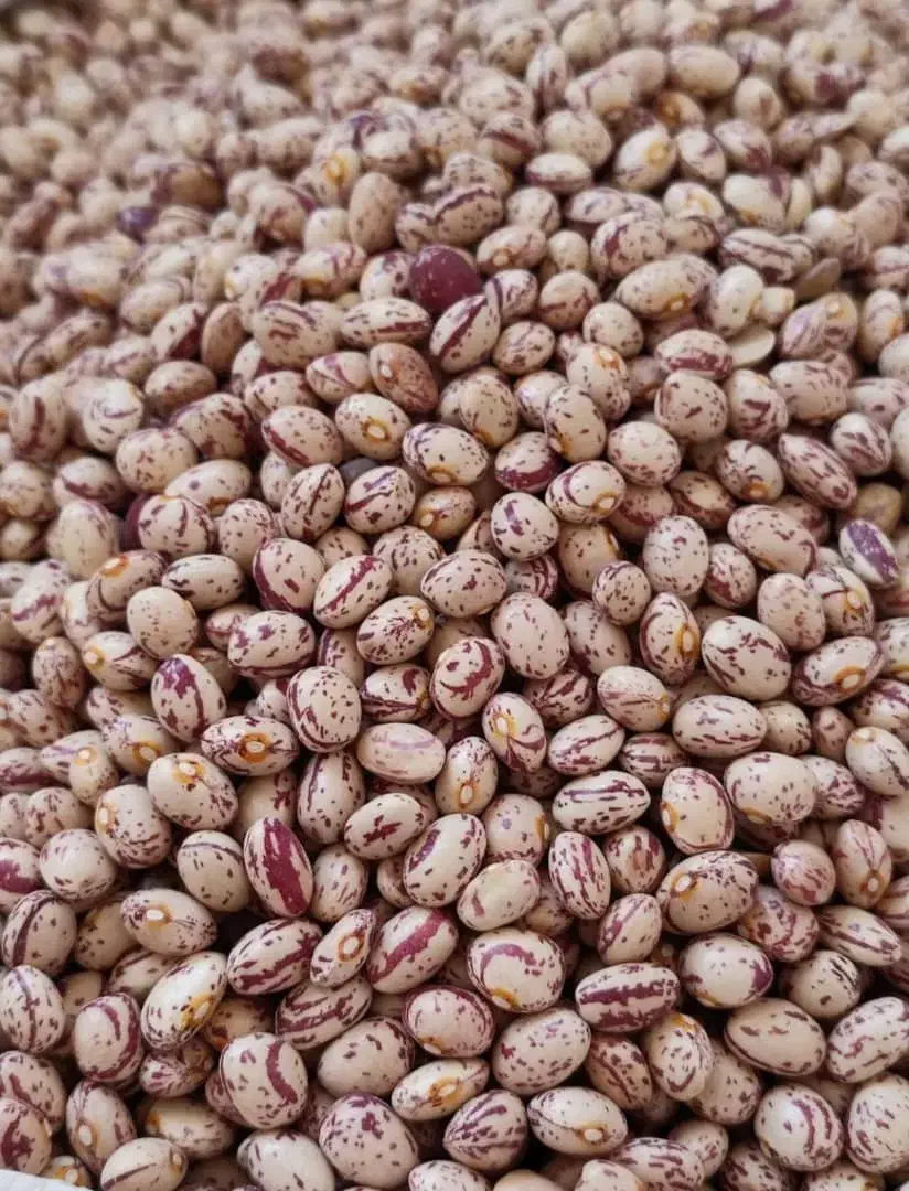 لوبیا سرحدی لیذر|خوردنی و آشامیدنی|خانمیرزا, |دیوار