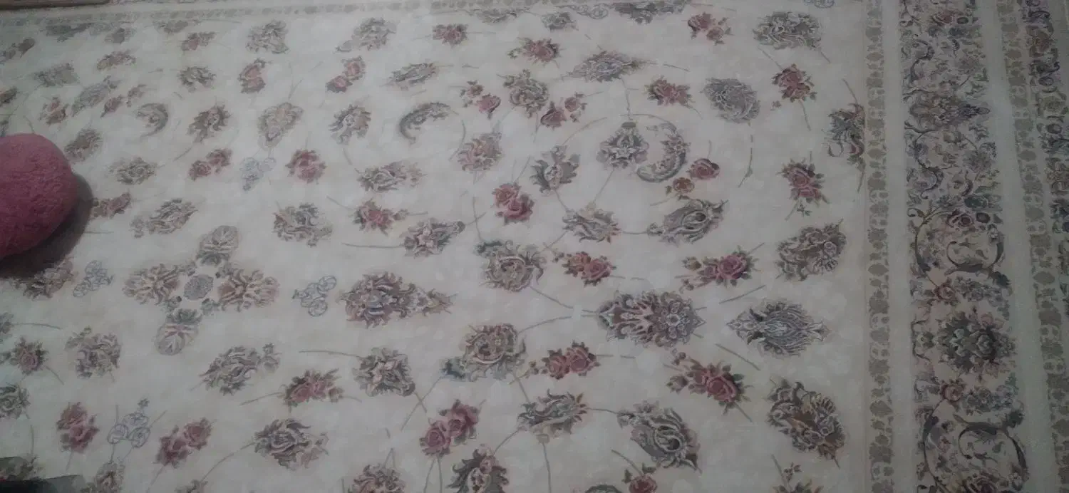 فرش همیشه بهار|فرش|برخوار, |دیوار