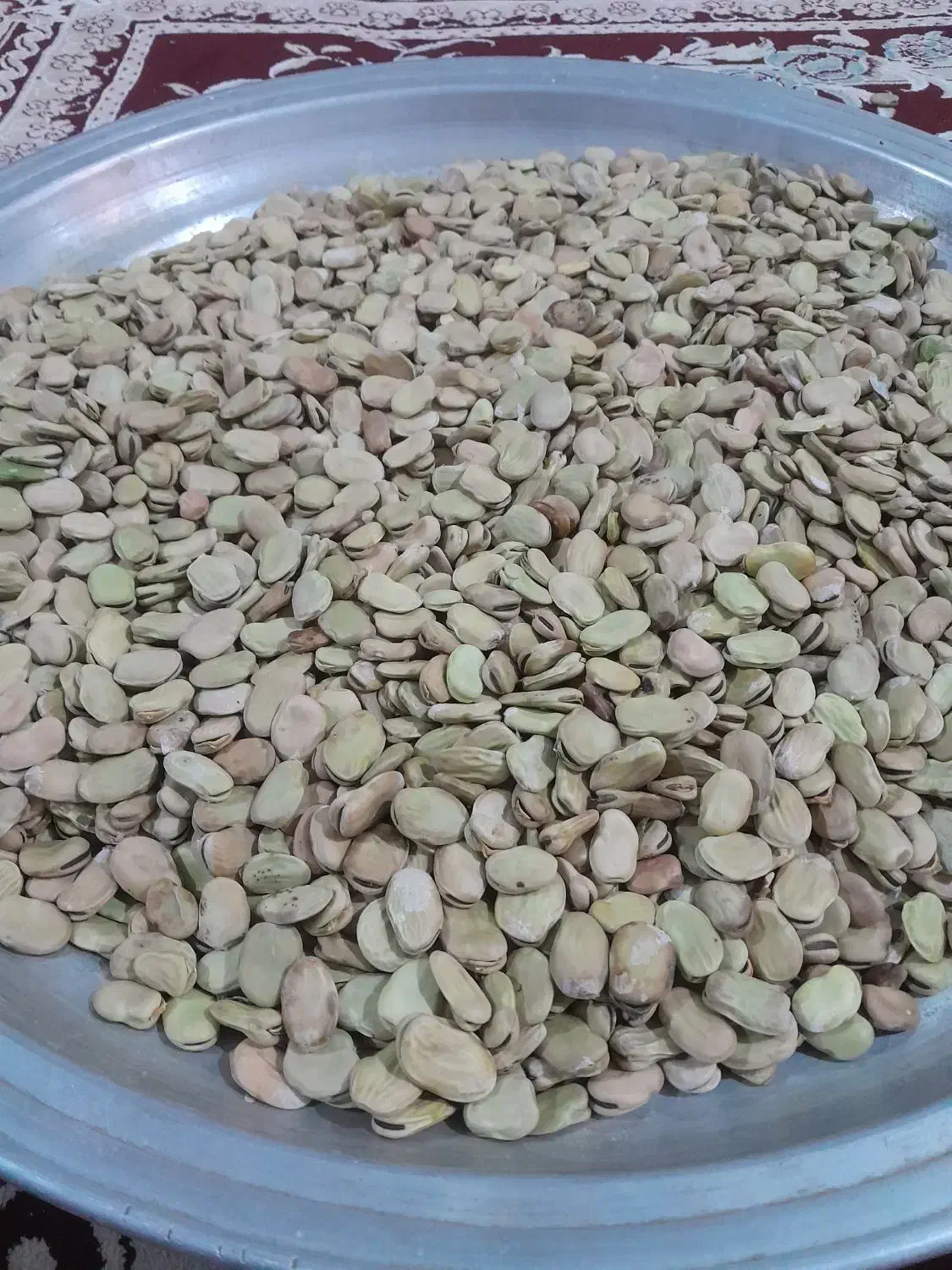 باقله دزفولی بزری شاخ بزی ۷ بند|خوردنی و آشامیدنی|بروجرد, |دیوار