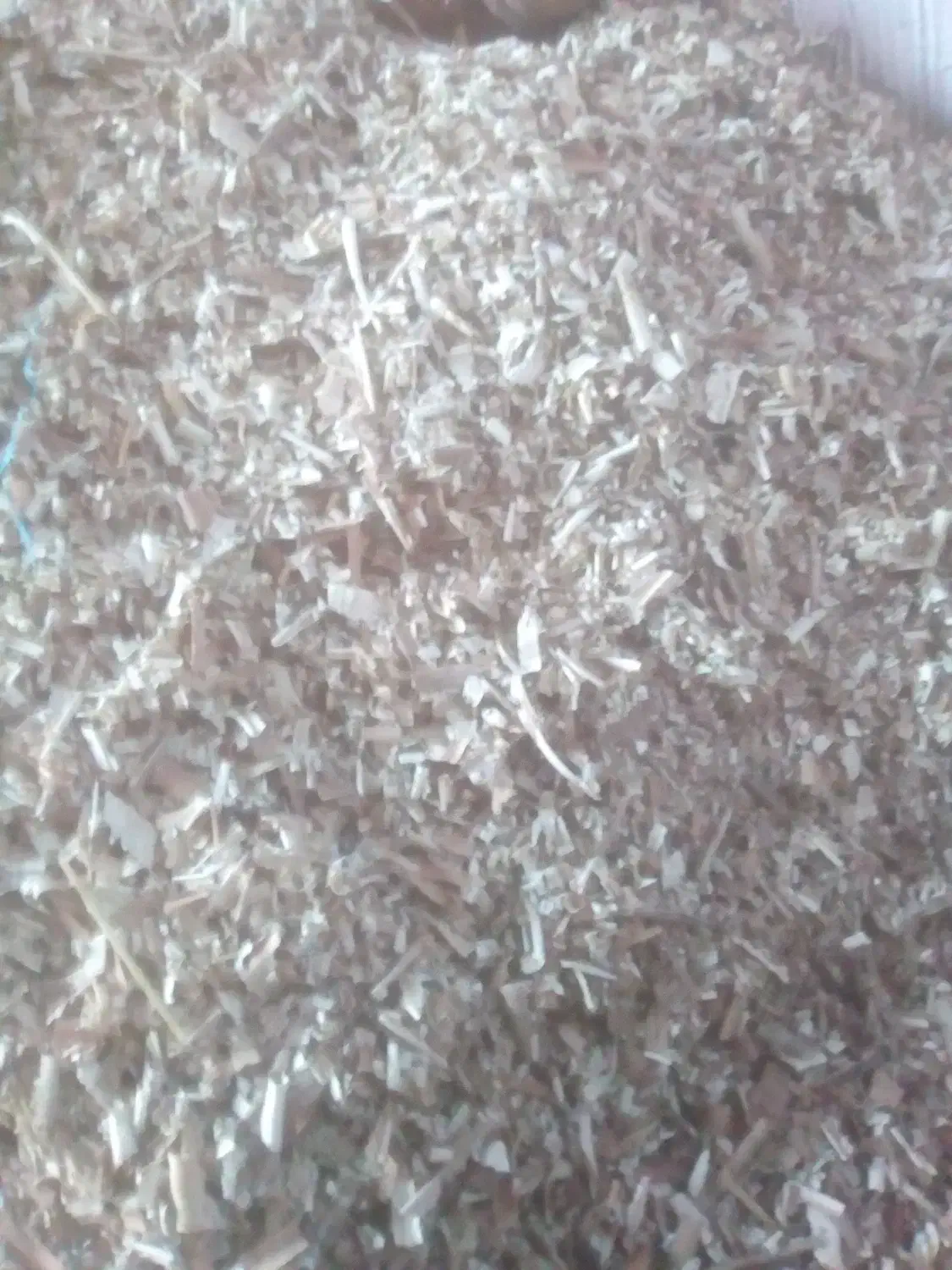 پوکه نجاری|حیوانات مزرعه|سراب, |دیوار