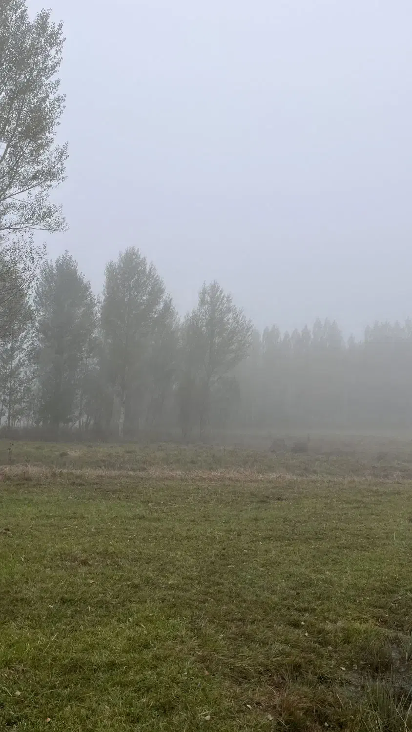 زمین باغ  در منطقه گردشگری بولاغلار نیر (اردبیل)|فروش زمین و ملک کلنگی|نیر (اردبیل), |دیوار