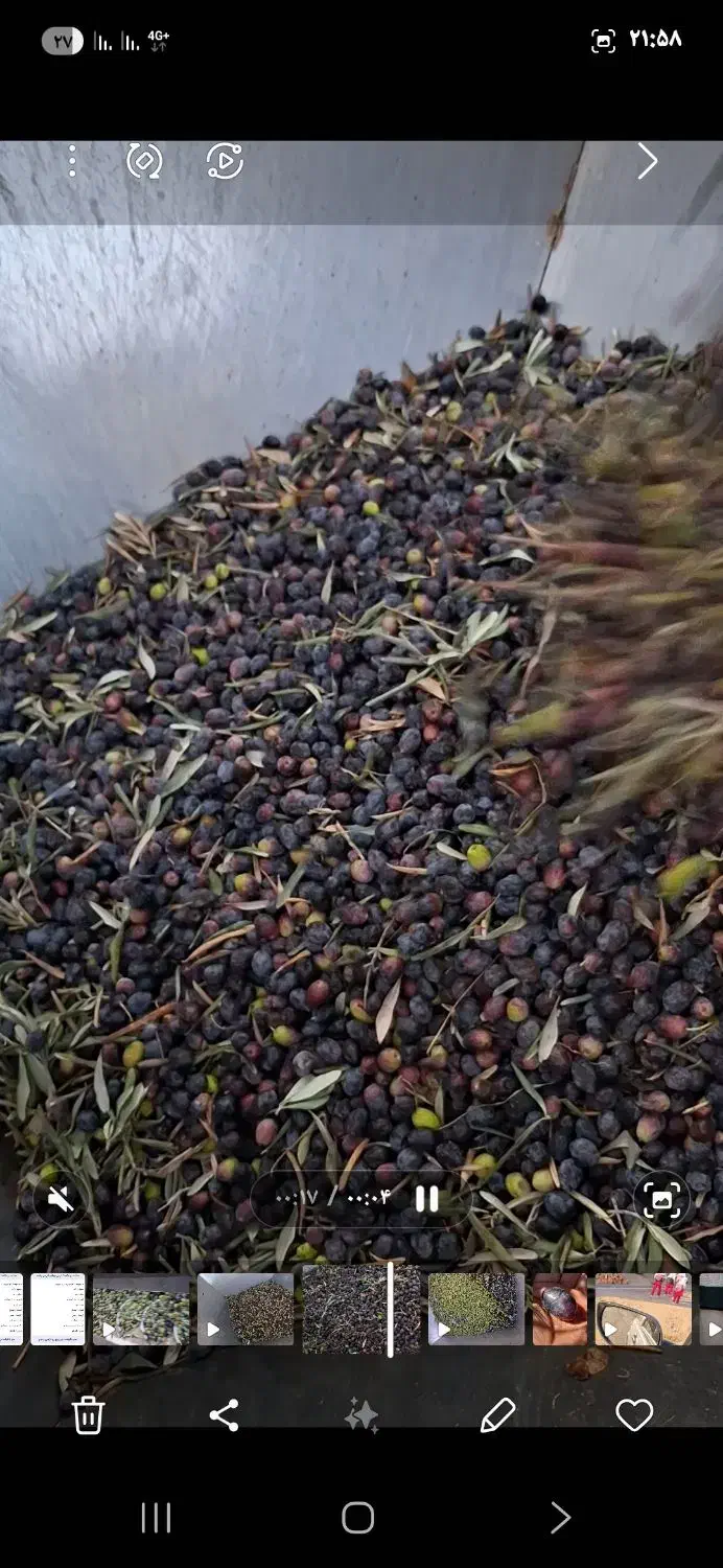 روغن زیتون فرابکر.تازه|خوردنی و آشامیدنی|طارم, |دیوار