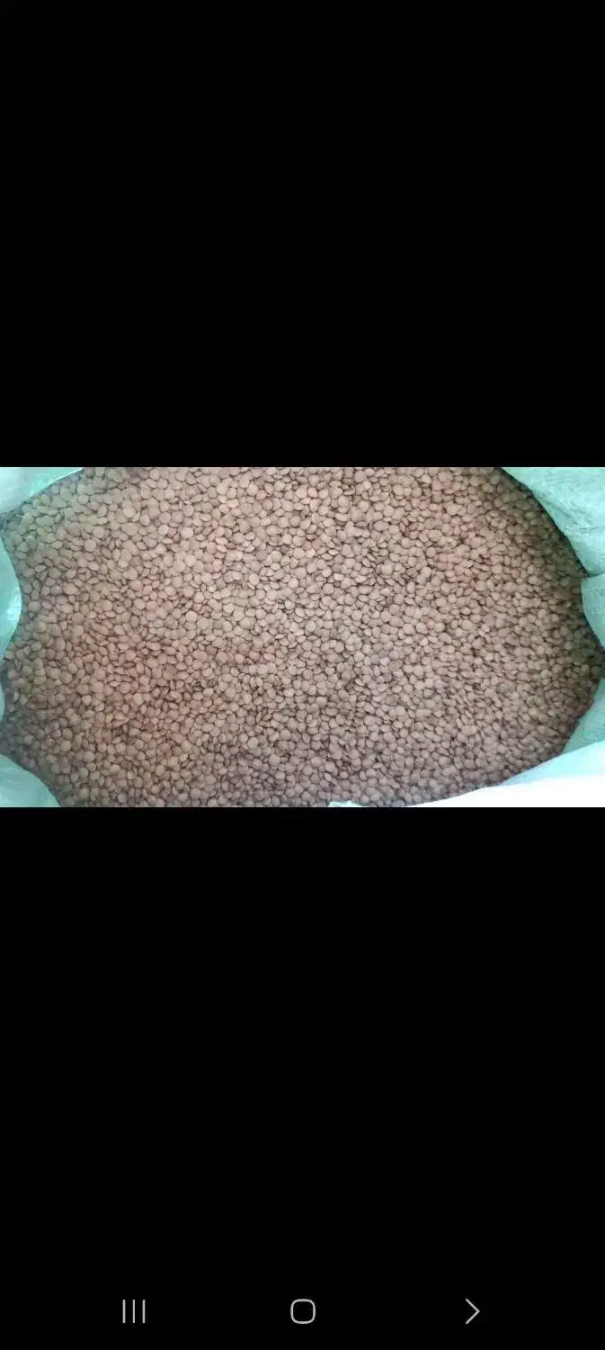 حبوبات خشکبار|خوردنی و آشامیدنی|فشاپویه, |دیوار