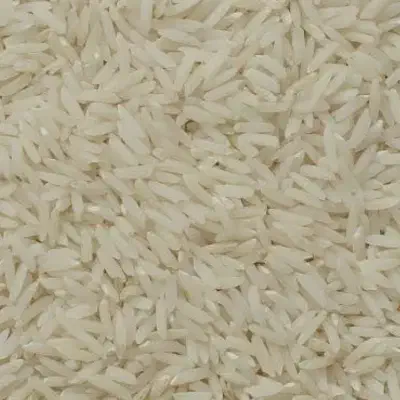 برنج هاشمی به شرط پخت|خوردنی و آشامیدنی|تهران, جی|دیوار