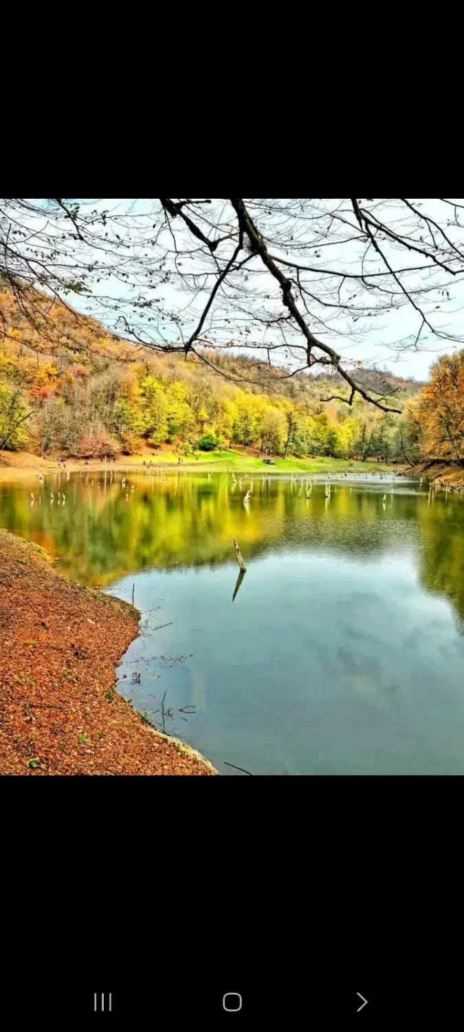 اجاره ویلا با ویوی جنگل کوه کیاسرروستاگردشگری چورت|اجارهٔ کوتاه‌مدت ویلا و باغ|کیاسر, |دیوار