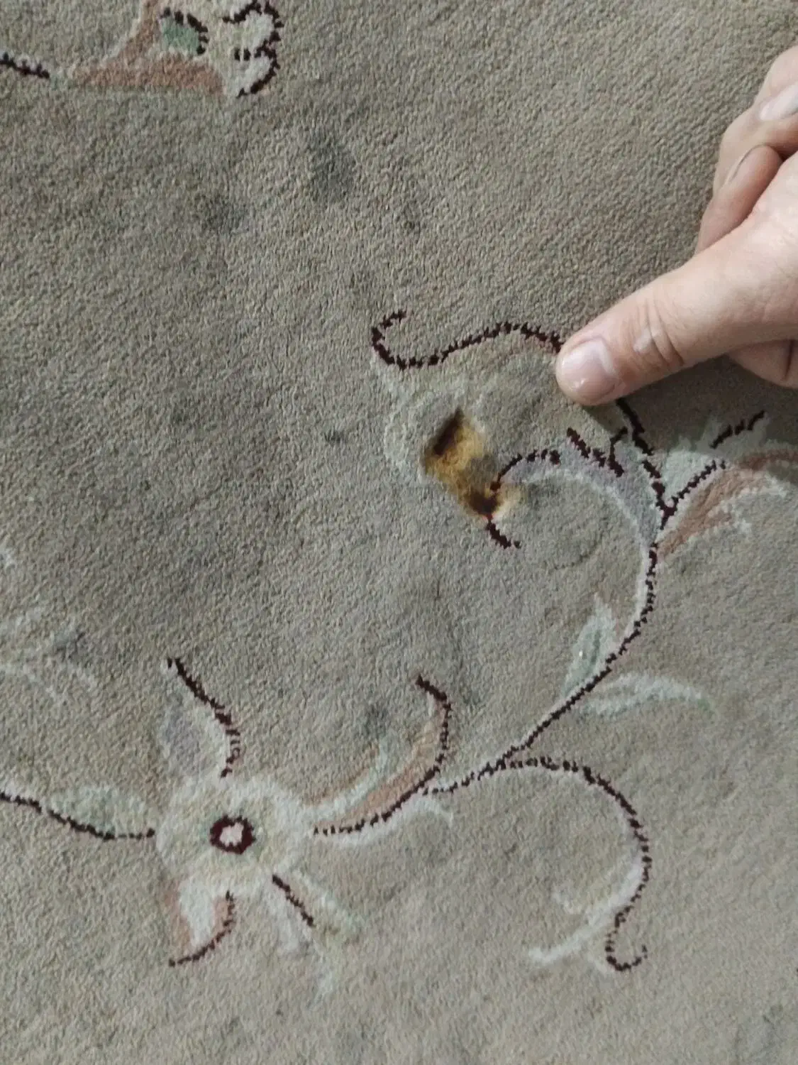 ۱ تخته فرش ۱۲ متری|فرش|بابلسر, |دیوار