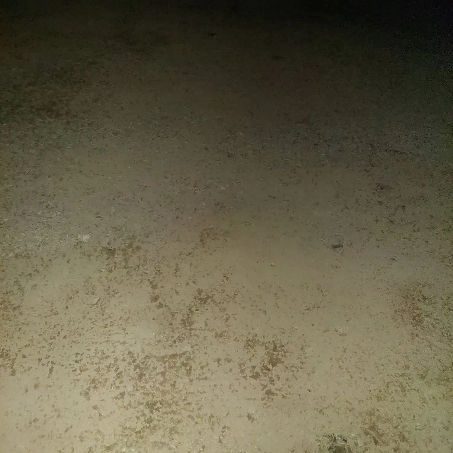 زمین مسکونی  شهرک فرهنگیان ۱|فروش زمین و ملک کلنگی|رزن, |دیوار