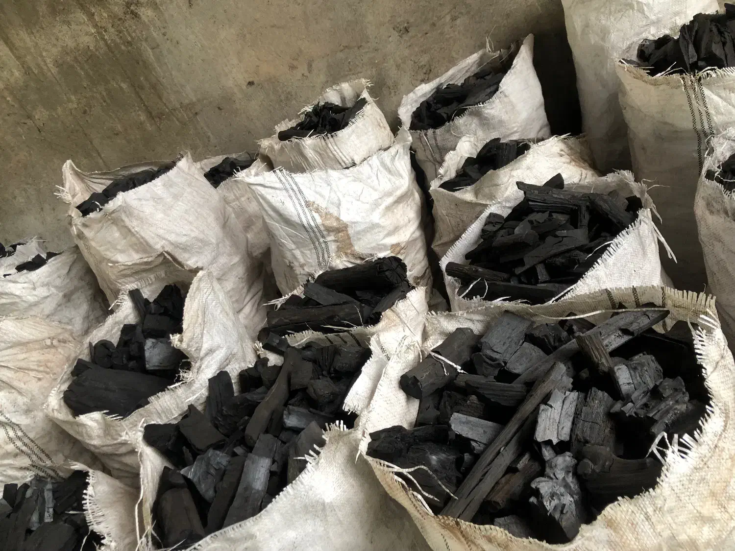 ذغال کبابی درجه یک|عمده‌فروشی|شیرگاه, |دیوار