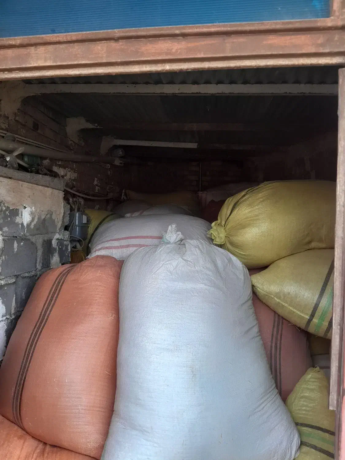 کاه نارد آبی|عمدهفروشی|تربت جام, جامرود|دیوار