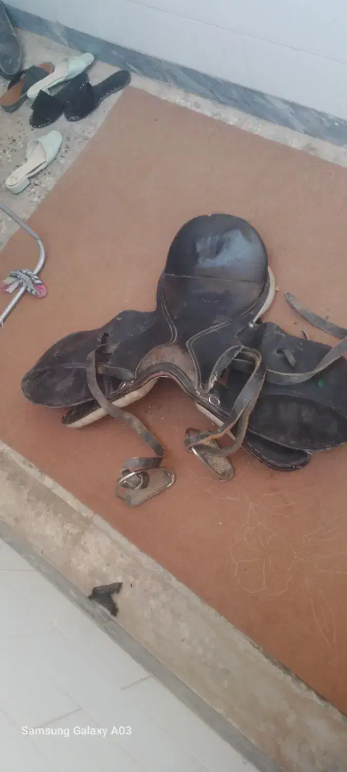 زین ودهنه|اسب و تجهیزات اسب‌سواری|شوشتر, |دیوار