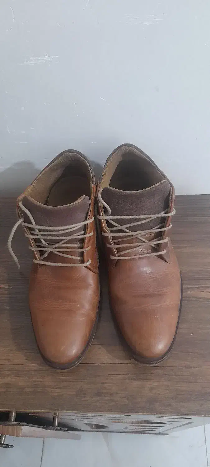 کفش چرم مردانه|کیف، کفش، کمربند|اقبالیه, |دیوار